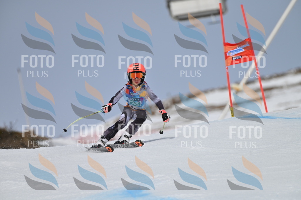 BGV_5029 | holidayphoto