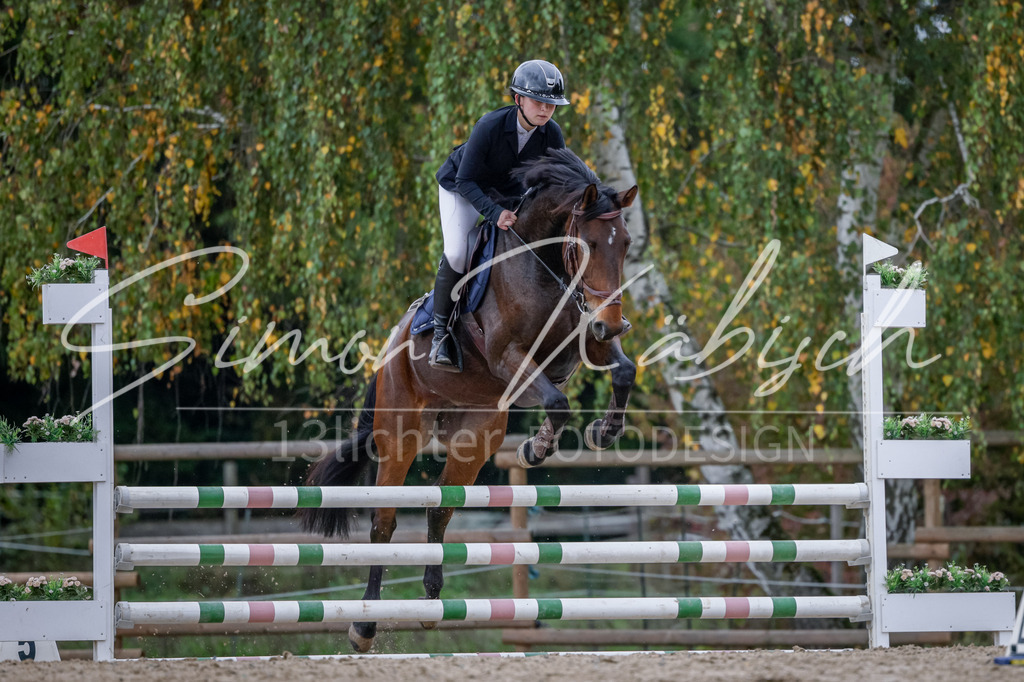 20251012-_3LI3905 | Tierfotografie Pferde, Hunde, Katzen, Haustiere.
Turnierfotografie Reitturniere, Reiten, Springreiten, Dressur in Hanau, dem Main-Kinzig-Kreis und dem Rhein-Main- Gebiet um Frankfurt