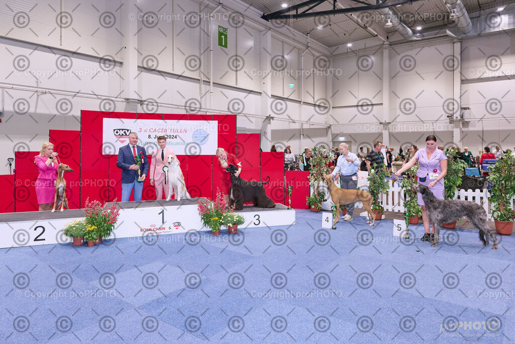 202406_ÖKV-IHA-Tulln24_NZ9_8752 | proPHOTO - Realisiert mit Pictrs.com