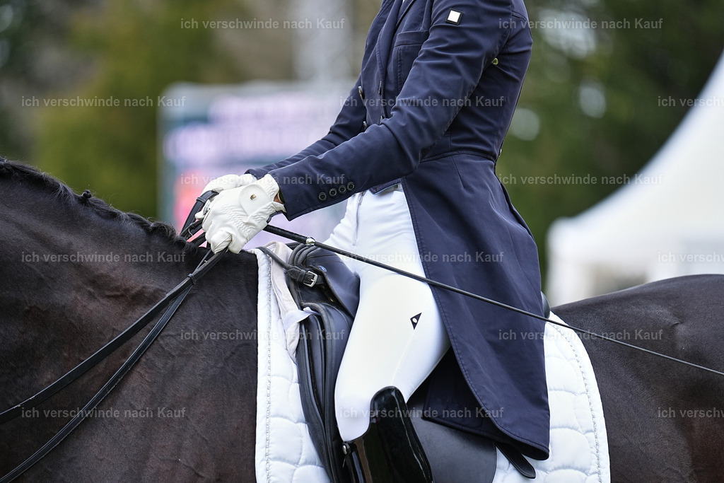 11-123-Dressur S___-Marixx-1533 | working equitationturnier fotograf videograf stoibphotography marixx film working equitation deutschland reitsport turnierfotografie eventfotografie equestrian events