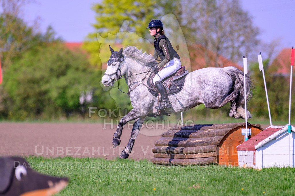 18042026-Gernlinden-04-1-1164 | Fokus Hufschlag Fotografie - Realisiert mit Pictrs.com