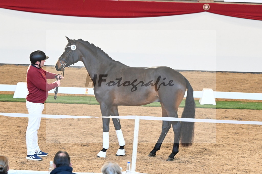 Kat.-Nr. 73 v. McLaren_Schulze Averdiek_2250638 | hf-fotografie - Realisiert mit Pictrs.com