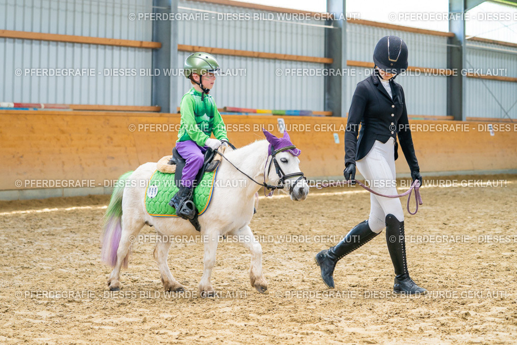 DSC00182 | Pferdegrafie