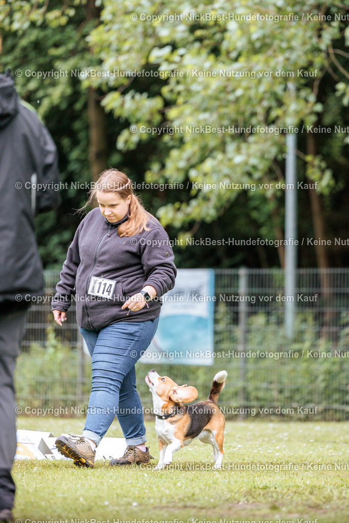 RO-Blumenthal-2026-Nickbest-Hundefotografie-1427 | Dein Hund! Dein Moment! Deine Erinnerungen! Hundefotografie in Bremen Blumenthal. Ich fange die besonderen Momente deines Vierbeiners ein – ob Indoor mit Blitzanlage oder in der freien Natur. Sicher dir dein Moment und dein Termin für eure Erinnerungen.