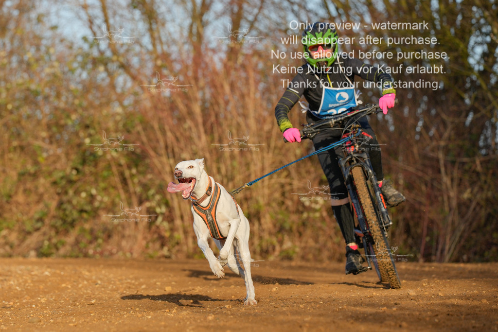 So_DVGBSP2025_Bike (290 von 358) | stephaniefillaphotographie - Realisiert mit Pictrs.com
