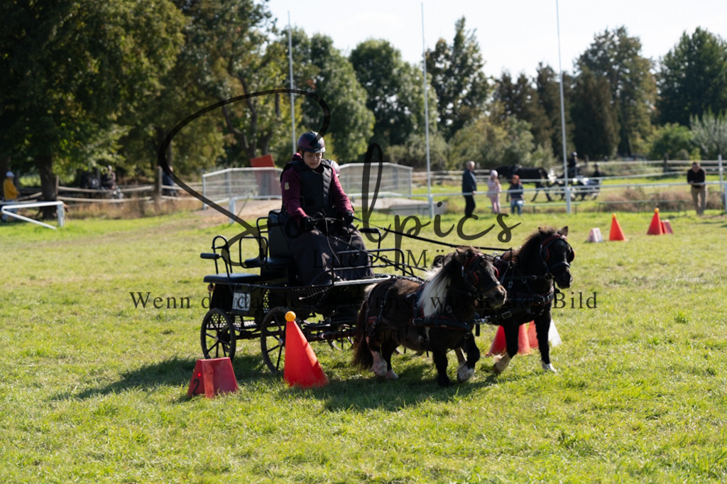 A7V04408 | Pferdefotograf