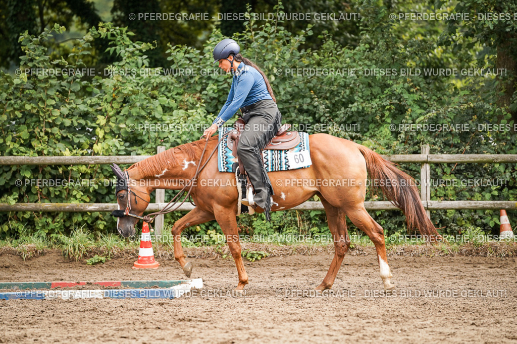 DSC04383 | Pferdegrafie