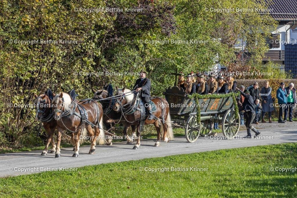 LBT24-313 | foto-bettina-krinner - Realisiert mit Pictrs.com