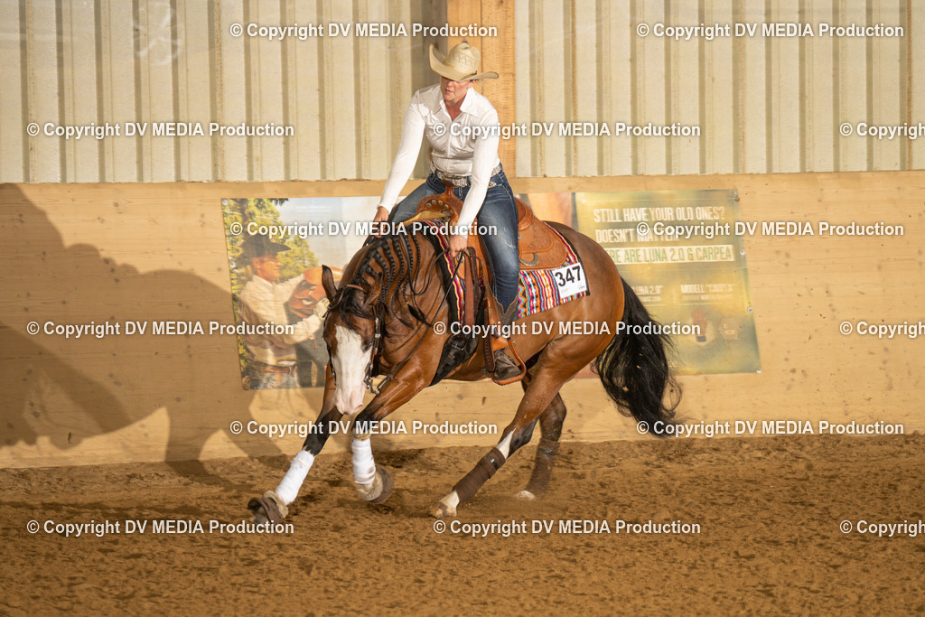 LAU00301 | dv-media-shop - Realisiert mit Pictrs.com