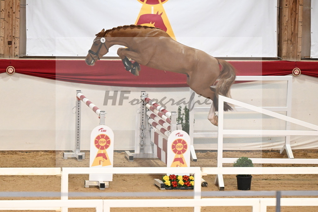 Kat.-Nr. 15 v. Darry Lou_Schep_3261646 | hf-fotografie - Realizzato con Pictrs.com