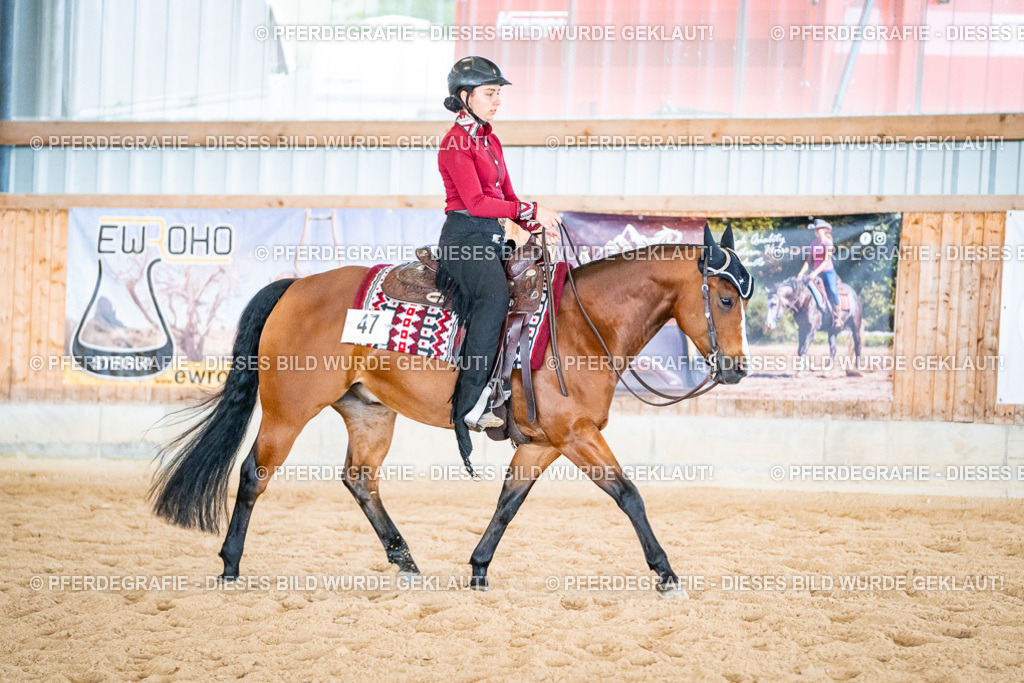 DSC02494 | Pferdegrafie