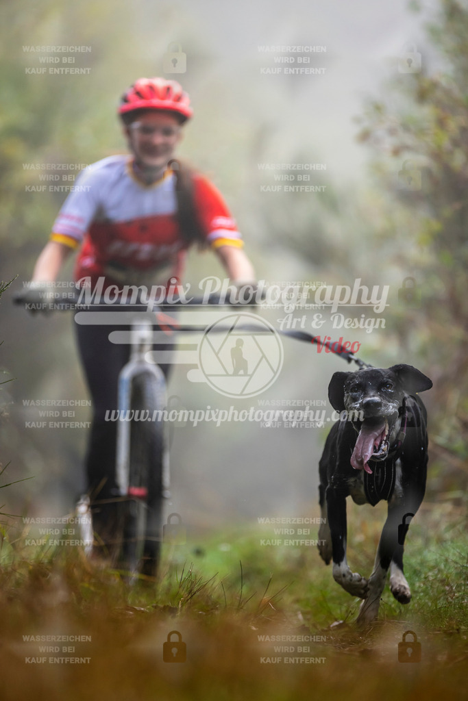 MompixPhotography_20TSB_E4_DS1-42 | PayLife