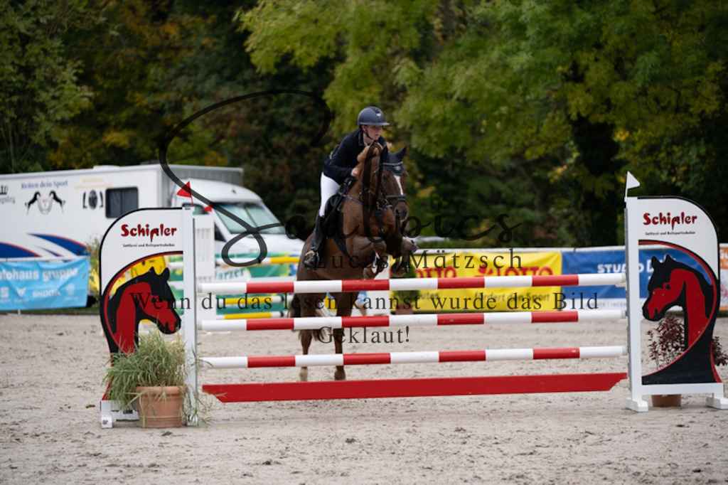 A7V09169 | Pferdefotograf