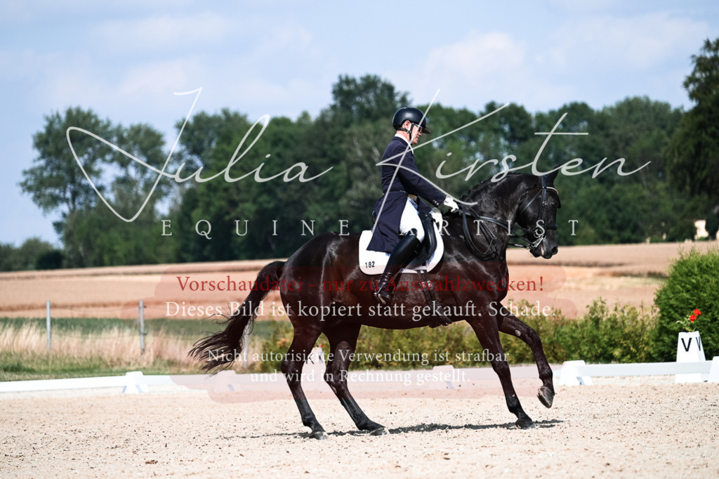 DSC_3022 | Pferde- und Turnierfotografie in Westsachsen. Pferdeportraits, Auftragszeichnungen und intuitive Kunst.