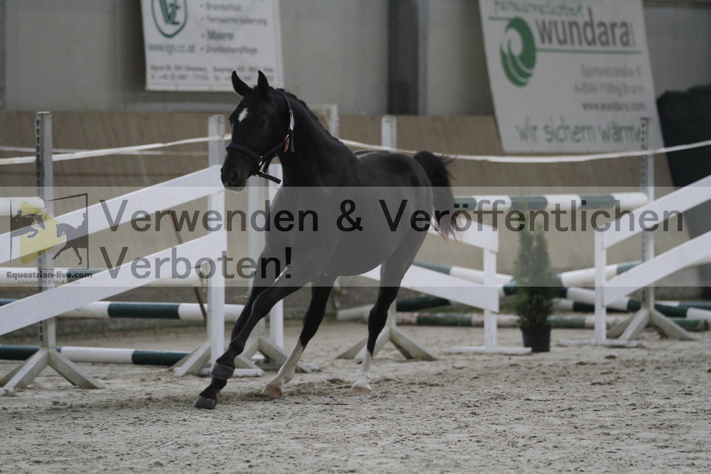 _MG_9376 | equestrian-live-com