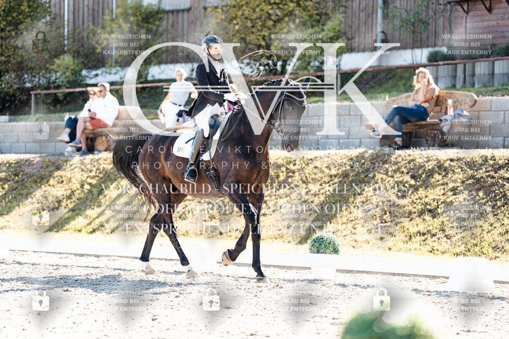 CK908914 | Turnierfotografie Pferdefotografie Trier Rheinland-Pfalz Pferdesport Reitsport Tierfotografie Sportfotografie Pferdevideo Pferdevideografie Equestrianvideography equestrianphotography  - Realisiert mit Pictrs.com