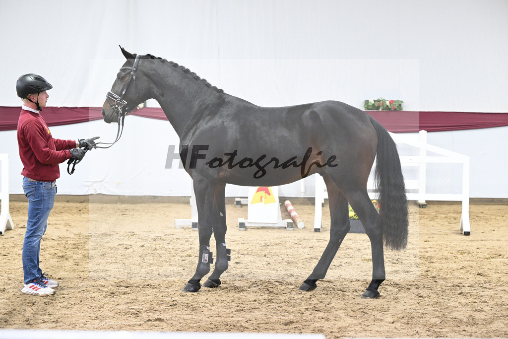 Kat-Nr. 80 Dallas VDL x C-Indoctro_Benjamin Maier_47252781 | hf-fotografie - Realisiert mit Pictrs.com