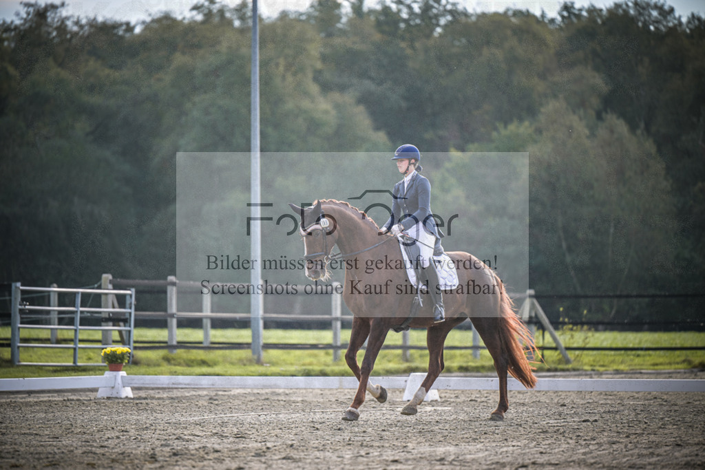 DOS_3064 | Entdecke hochwertige Reitturnierfotos von Foto Oger. Professionell, emotional und authentisch – jetzt Lieblingsmomente im Shop bestellen.Deutschlandweite Turnierfotografie. - Realisiert mit Pictrs.com