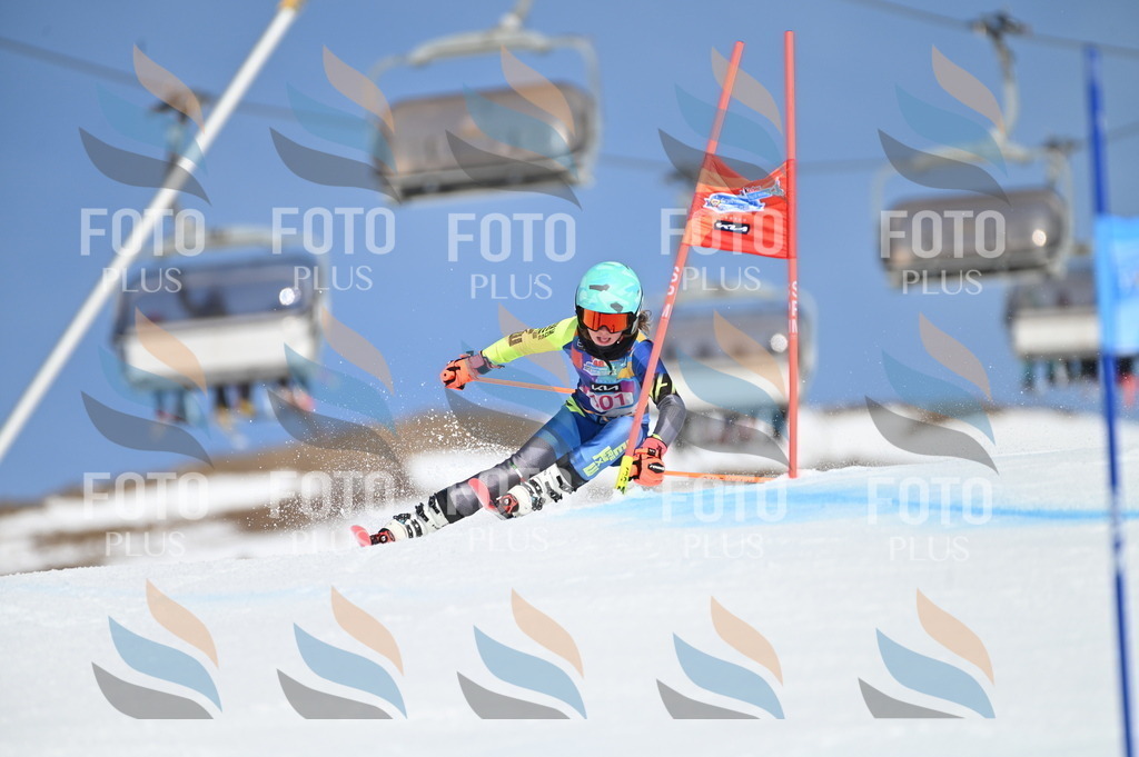 BGV_9460 | holidayphoto