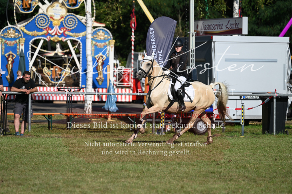 DSC_5043 | Pferde- und Turnierfotografie in Westsachsen. Pferdeportraits, Auftragszeichnungen und intuitive Kunst.