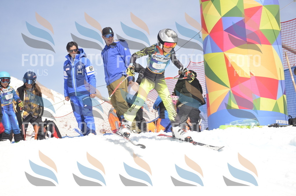 _ELE9301 | holidayphoto