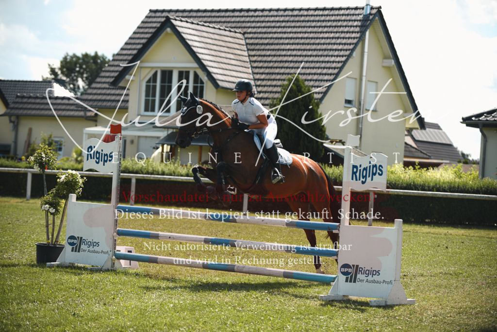 DSC_6528 | Pferde- und Turnierfotografie in Westsachsen. Pferdeportraits, Auftragszeichnungen und intuitive Kunst.