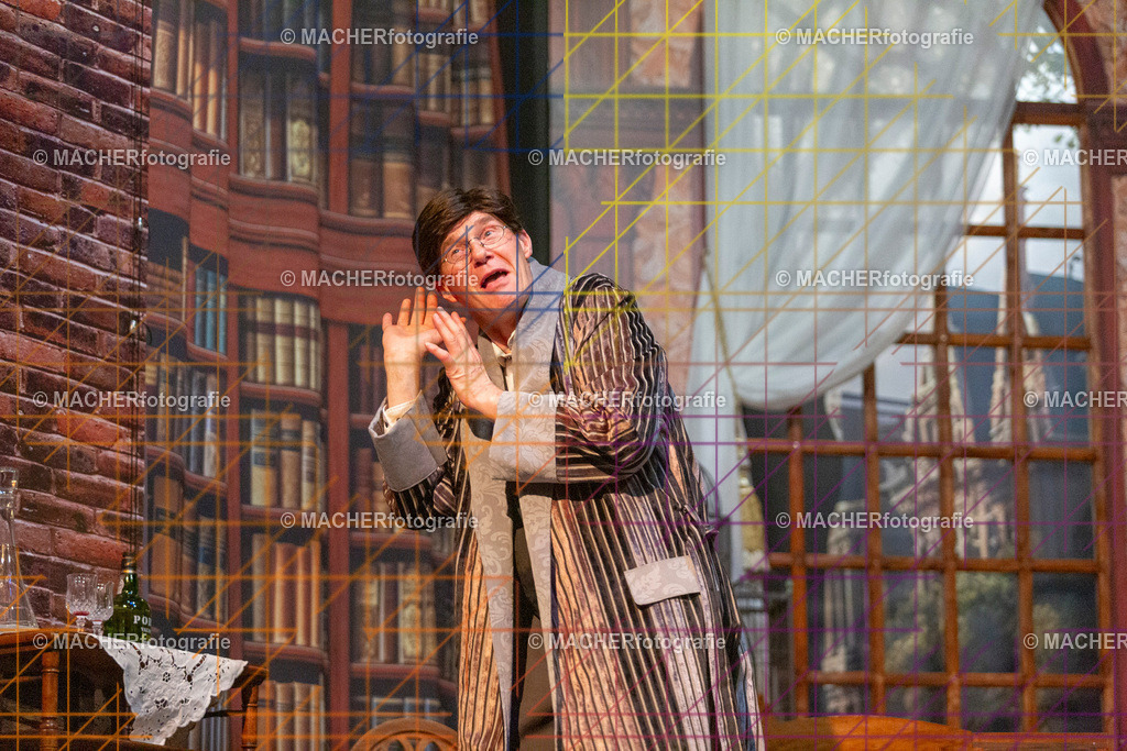 411_MFL-2025 | Portraitbilder von Regisseur; Darsteller; Techniker; Maske; Kostüme; Chor; Musiker; Bilderserie der Generalprobe und der Premierenvorstellung, Szenenbilder; Ausdrucksstudien; Bühnenüberblick; Bühnenkulissen; Pressefotos inkl. Redaktionsfoto Darstellergruppe.