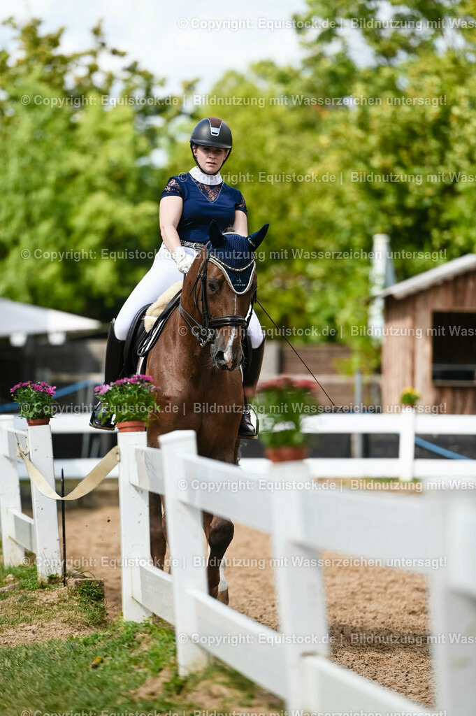 20230716_01_Dressurprüfung Kl.M_0360 | equistock