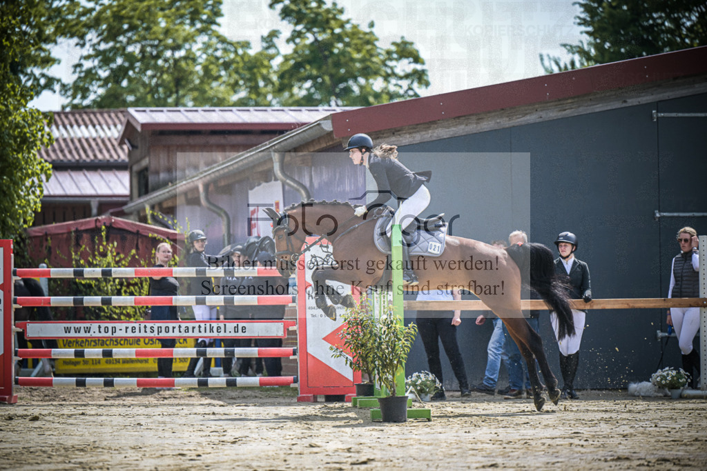 DOS_0310 | Entdecke hochwertige Reitturnierfotos von Foto Oger. Professionell, emotional und authentisch – jetzt Lieblingsmomente im Shop bestellen.Deutschlandweite Turnierfotografie. - Realisiert mit Pictrs.com