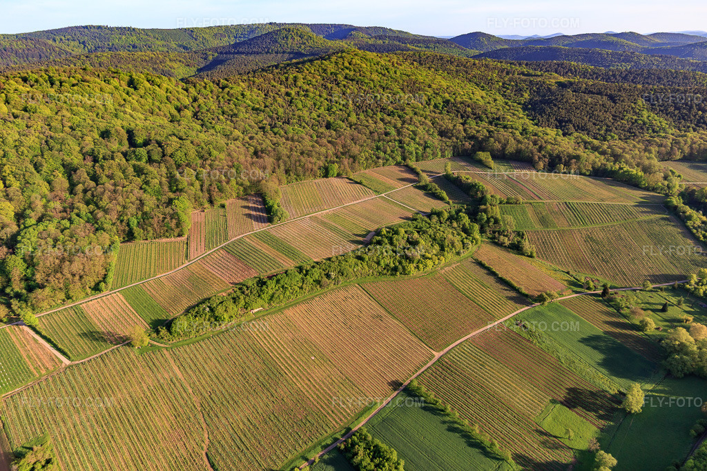 Aerial view: Sonnenberg vineyard in Wissembourg in the state Bas-Rhin, France. – Photo: IMG_107019.jpg taken on 04/27/2018 by Werner Riehm/FLY-FOTO.com – Resolution of the original: 5472 x 3648 px