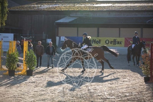 2B4A0017 | pixelfaenger - Realisiert mit Pictrs.com