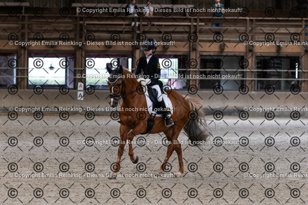 CL5A5427 | Emilia Reinking Fotografie - Realisiert mit Pictrs.com