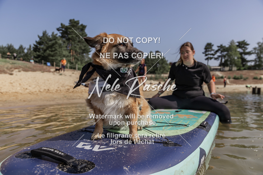 BUHU_SUP_323 | nelerasche