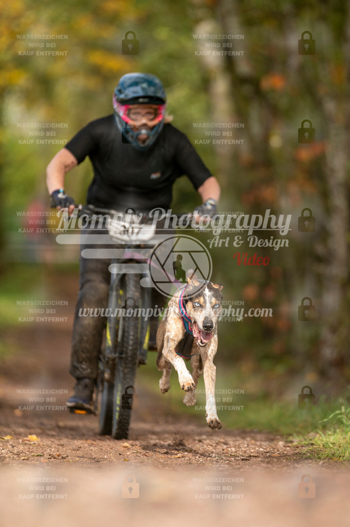 TSB_2023_E4_Bike-65 | PayLife