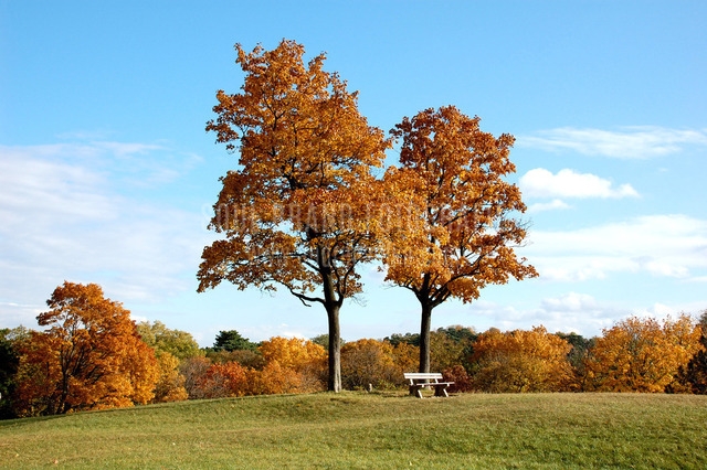 herbst perchtoldsdorf | andreasojkafotografie - Realisiert mit Pictrs.com