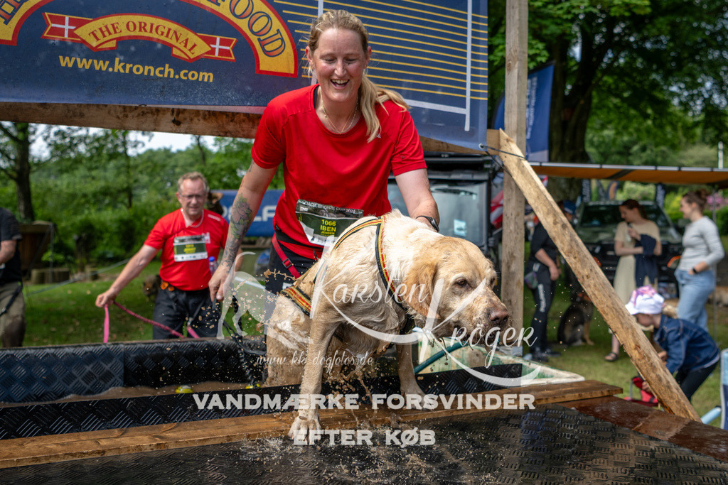 1113_ZZ93106 | kk-dogfotos