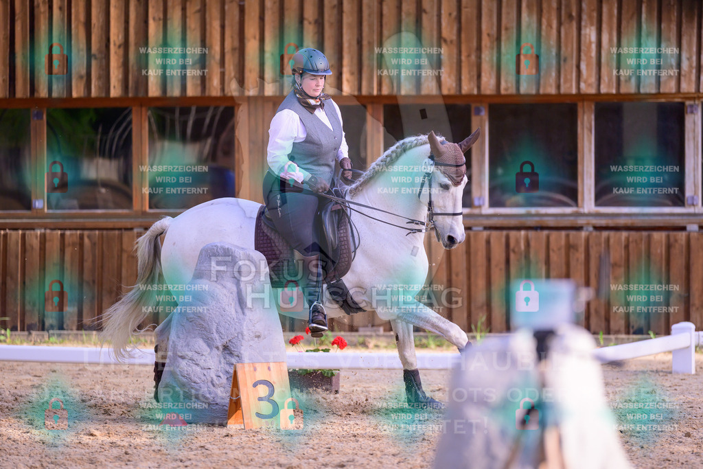 02052026-Giesenbach-03-Speedtrail-0780 | Fokus Hufschlag Fotografie - Realisiert mit Pictrs.com