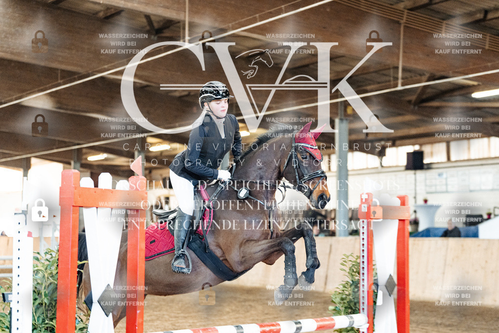 CK903766 | Turnierfotografie Pferdefotografie Trier Rheinland-Pfalz Pferdesport Reitsport Tierfotografie Sportfotografie Pferdevideo Pferdevideografie Equestrianvideography equestrianphotography  - Realized with Pictrs.com