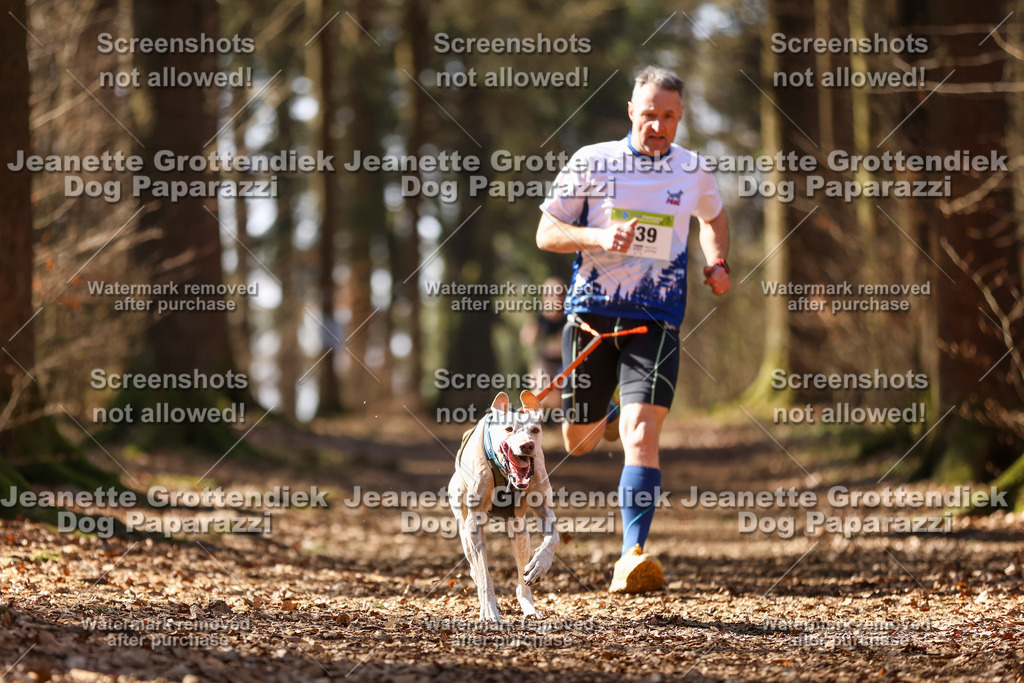 Dog Paparazzi - VCC26-1150 | Dog Paparazzi Jeanette Grottendiek Fotografie & Videografie - Realisiert mit Pictrs.com