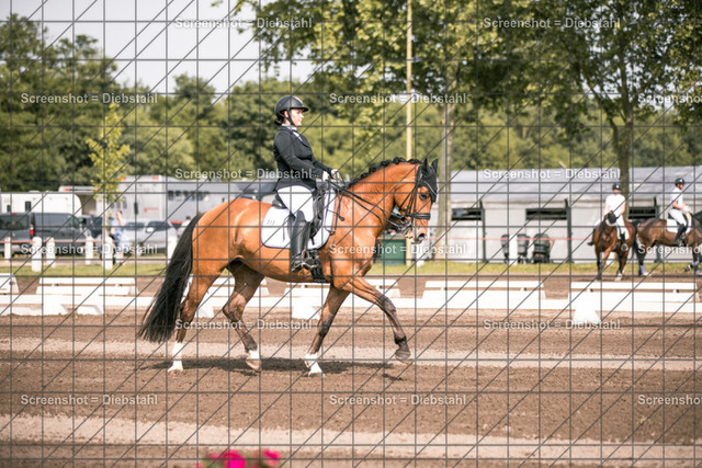 _W6A4391 | ronjaprokoschfotografie - Realisiert mit Pictrs.com