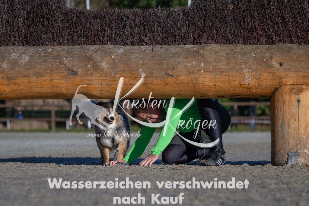 1047-_ZZ92684 | kk-dogfotos