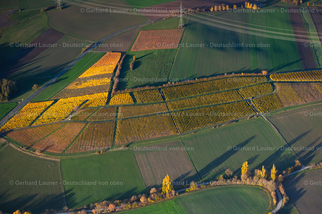 4042851 | Weinberge bei Castell, Weinlage Kirchberg, Hohnart