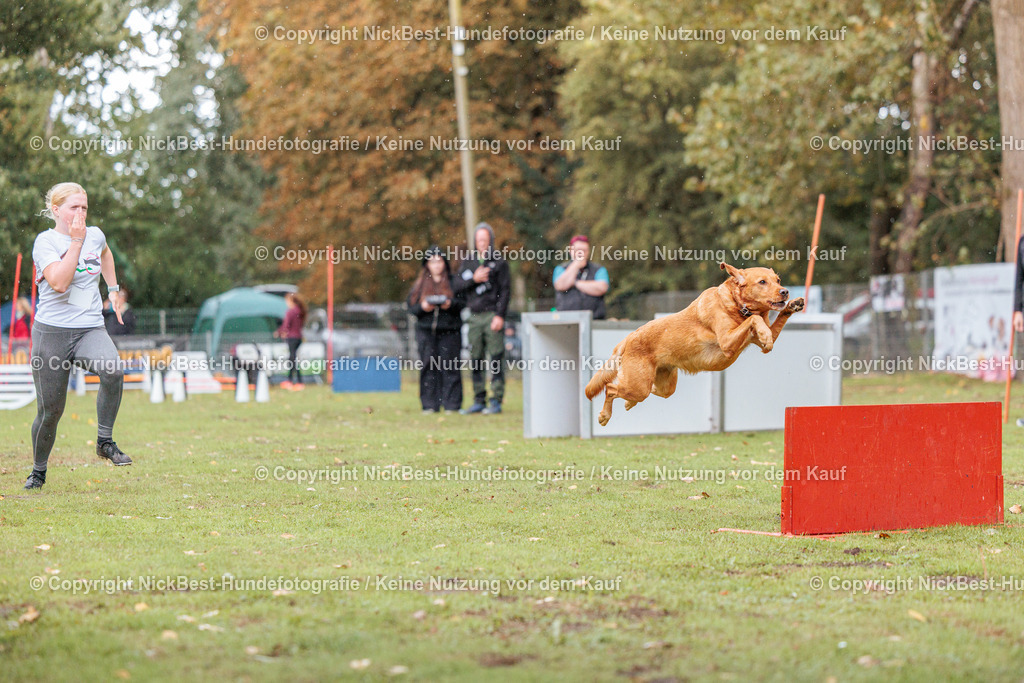 THS-HSV-Blumenthal-2026-Nickbest-Hundefotografie-4182 | Dein Hund! Dein Moment! Deine Erinnerungen! Hundefotografie in Bremen Blumenthal. Ich fange die besonderen Momente deines Vierbeiners ein – ob Indoor mit Blitzanlage oder in der freien Natur. Sicher dir dein Moment und dein Termin für eure Erinnerungen.
