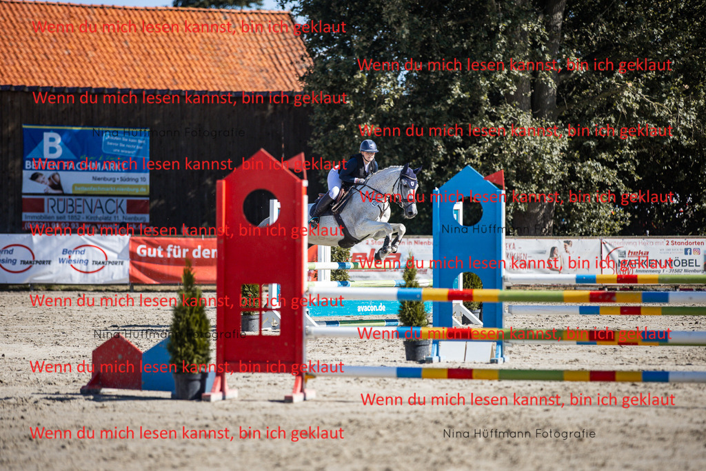 BK1A7216 | Turnierbilder Turnierfotos Nina Hüffmann Turnierfotografie Pferdefotografie Tierzeichnung Haustierzeichnung Pferdezeichnung Hundezeichnung Videograf  - Realisiert mit Pictrs.com