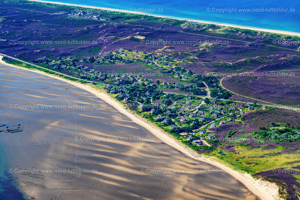 Sylt_List_Westerheide_Heide_Blüte_ELS_4017130825 | LIST 13.08.2025 Ferienhaus Anlage " West Heidesiedlung " in List auf der Insel Sylt im Bundesland Schleswig-Holstein, Deutschland. // Holiday home complex " West Heidesiedlung " in List on the island of Sylt in the federal state of Schleswig-Holstein, Germany. Foto: Martin Elsen
