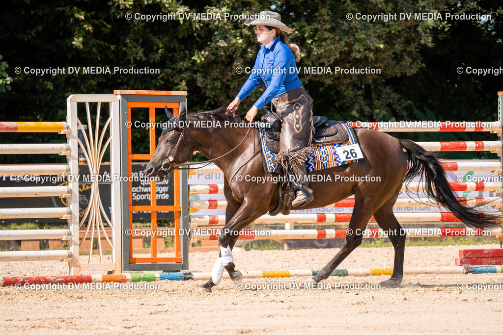 ZH100282 | dv-media-shop - Realisiert mit Pictrs.com