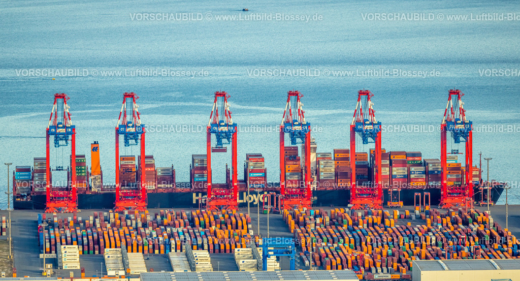 Wilhelmshaven251106548EurogateContainerTerminal | Luftbild, EUROGATE Container Terminal Wilhelmshaven GmbH (CTW), Hapag-Lloyd Schiff, Tiefwasserhafen JadeWeserPort an der Nordsee, Voslapp, Wilhelmshaven, Norddeutschland, Ostfriesland, Niedersachsen, Deutschland