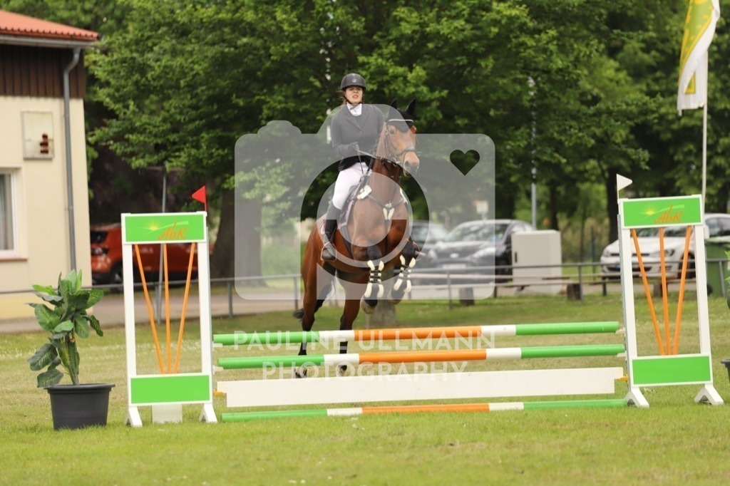 IMG_7461 | Pauline Ullmann Photography - Realisiert mit Pictrs.com