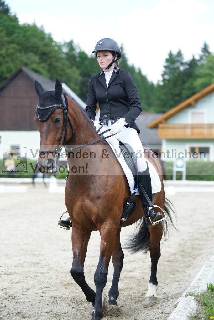 DSC05333 | equestrian-live-com