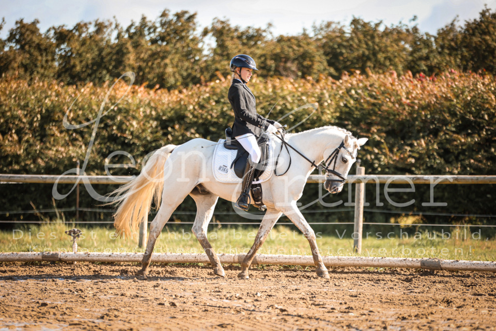 07.SoDrE00145 | Leoni Ertmer Photography - Realisiert mit Pictrs.com